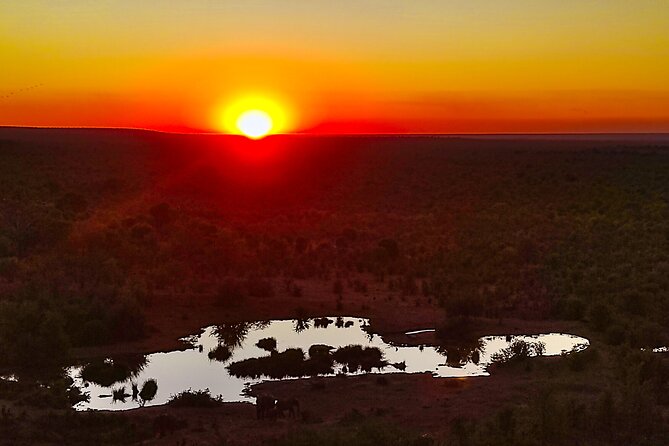 2 Hour Stargazing Tour in Victoria Falls NP Area in 4x4 - One hour in Zambezi National Park
