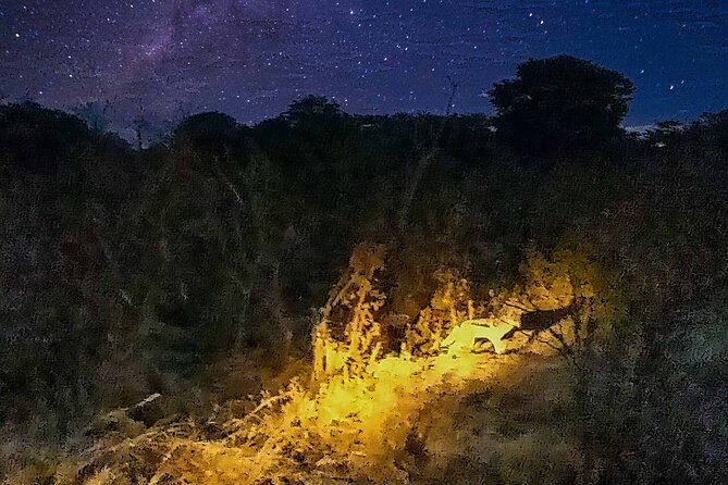 2 Hour Stargazing Tour in Victoria Falls NP Area in 4x4 - Why the wildlife element changes the mood