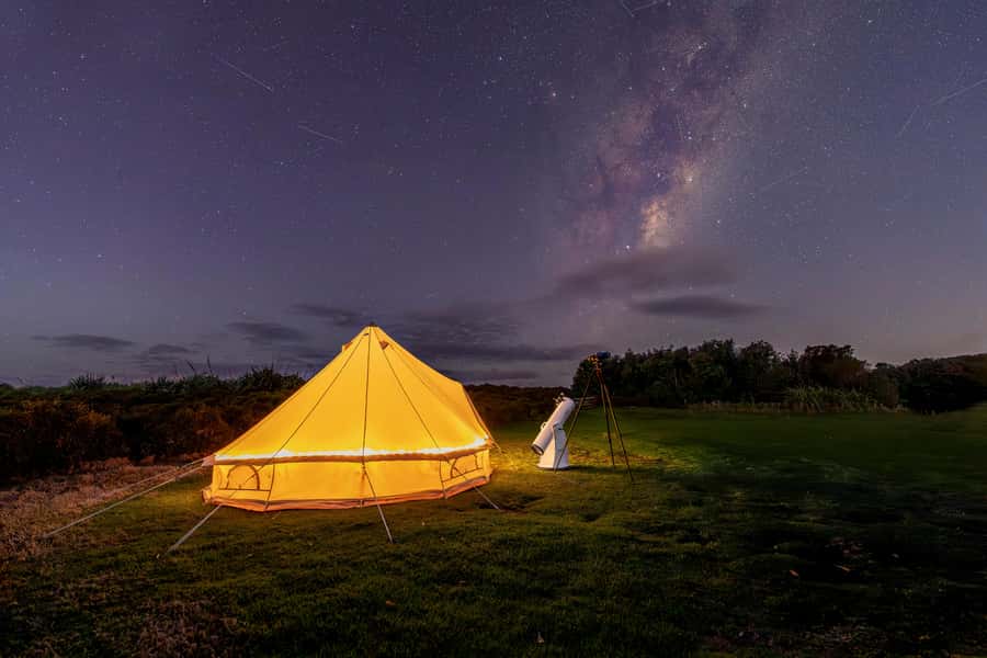 Auckland (Tawharanui): Wild Kiwi Bird Spotting Encounter - The optional overnight glamping stay