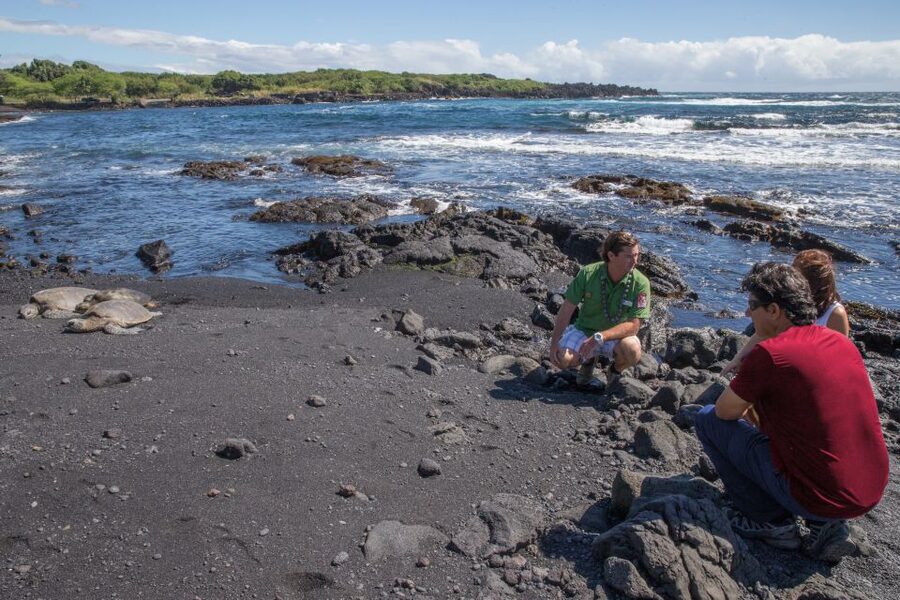 Big Island, Hawaii: Volcano and Stargazing Tour with Dinner - Final call: book it for breadth, not leisure