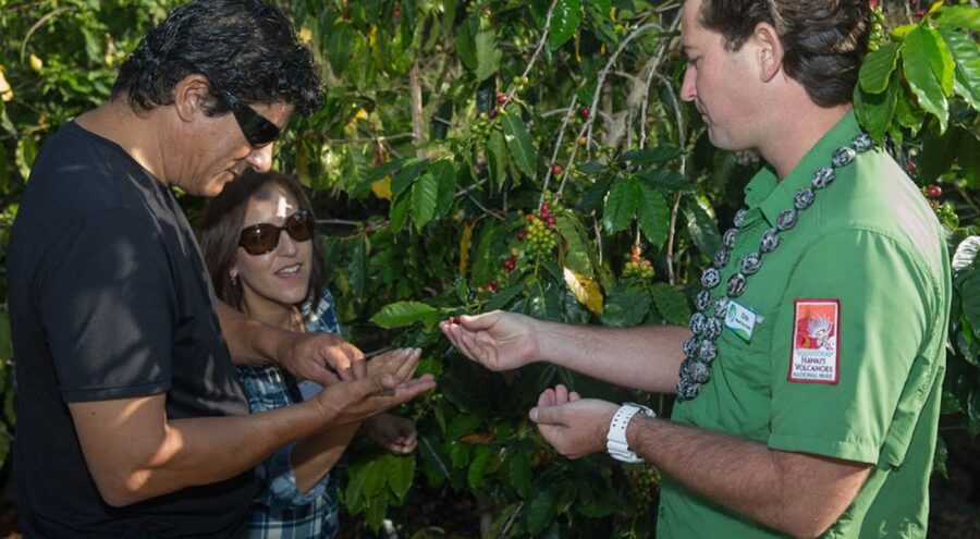 Big Island, Hawaii: Volcano and Stargazing Tour with Dinner - Dinner at Volcano’s Lava Rock Cafe