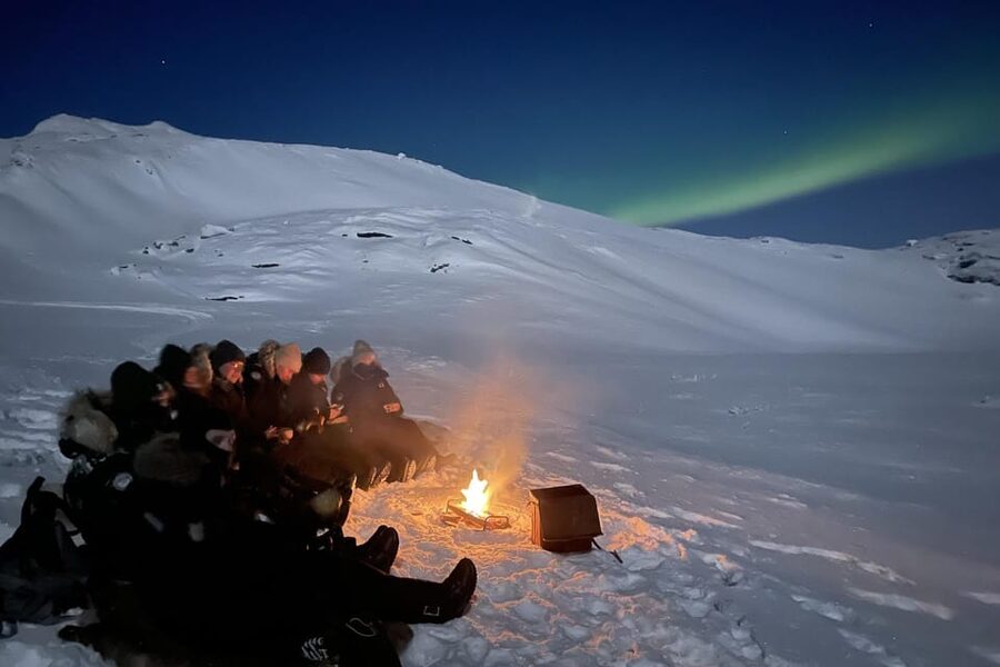Björkliden/Abisko: Night Sky Snowmobile Tour - Riding into the Arctic night from Abisko