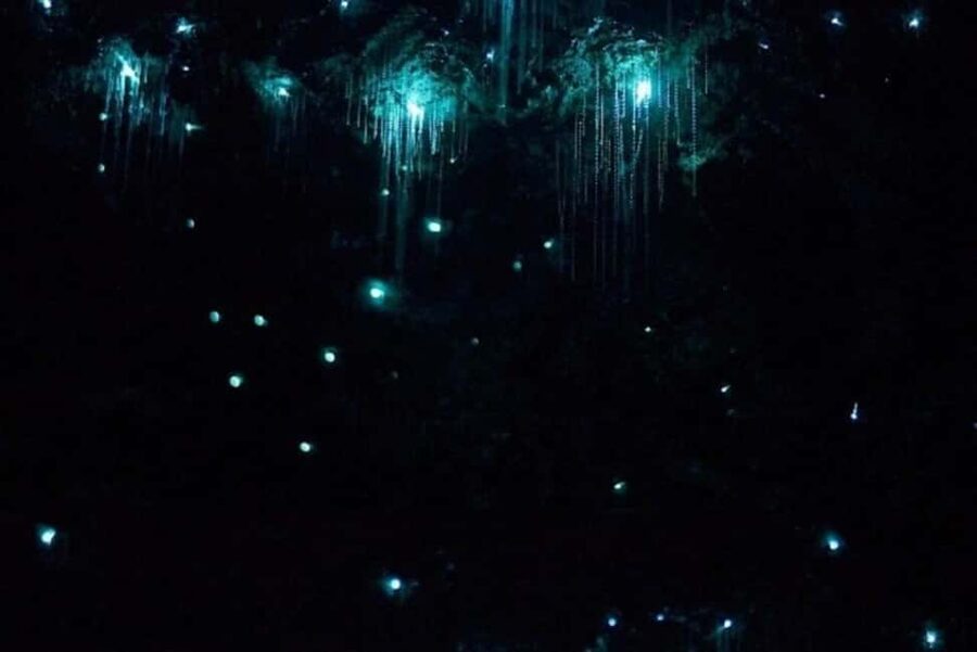 Brisbane: Glow Worms, Sunset, Star Gazing & BBQ - Stargazing with an advanced telescope