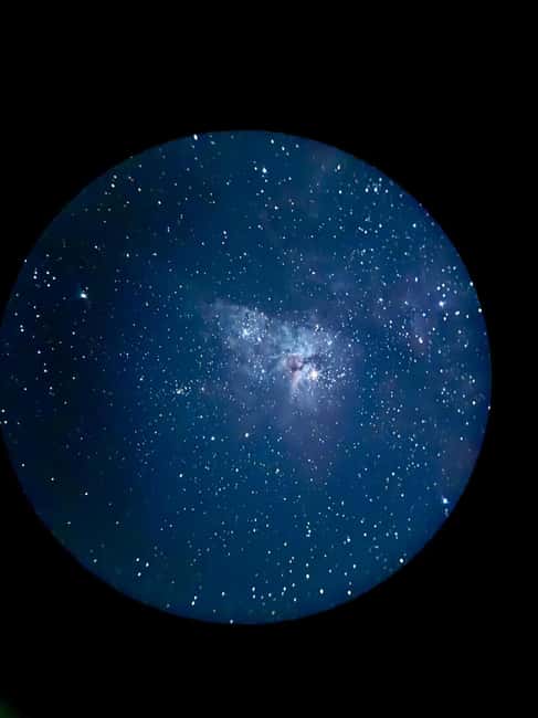Brisbane: Glow Worms, Sunset, Star Gazing & BBQ - Is $131 good value?