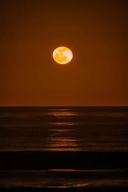 Cabo de Gata: Guided Night Walk with Stargazing - Should you book Cabo de Gata’s night walk?