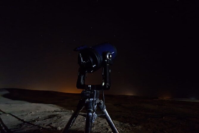 Camel Ride, Bedouin Dinner and Star Gazing in Marsa Alam - From Marsa Alam to Ababda camp