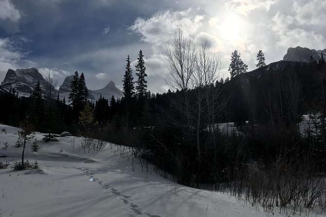 Canmore: Stargazing and Nature by Nightfall Walking Tour - 2hr - Stargazing away from Canmore’s lights