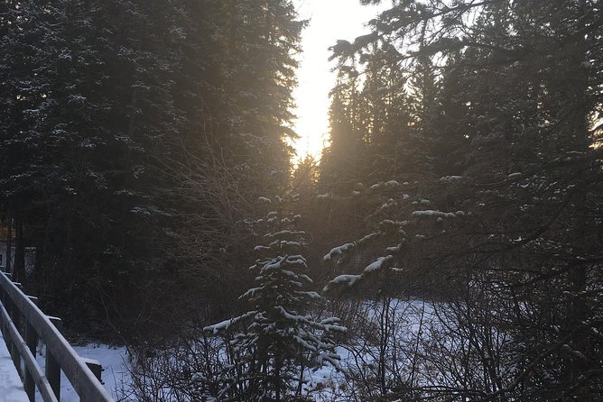 Canmore: Stargazing and Nature by Nightfall Walking Tour - 2hr - What $69.81 buys you
