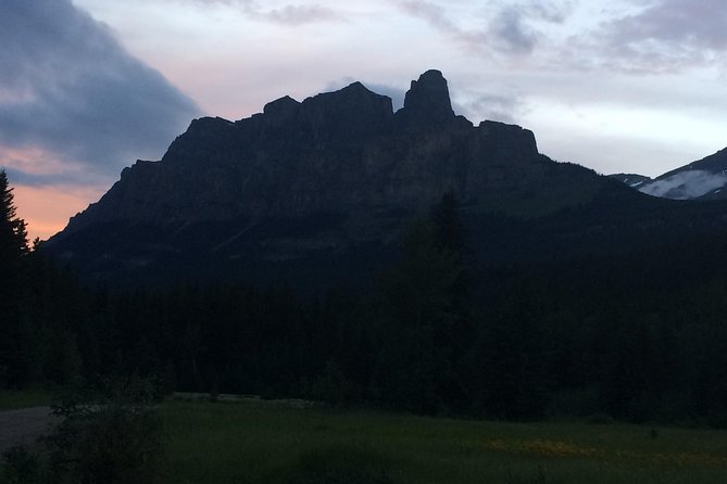 Canmore: Stargazing and Nature by Nightfall Walking Tour - 2hr - What the forest trails are really like
