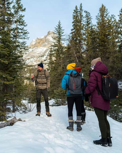 Canmore: Stargazing and Night Adventure - Who should book this experience