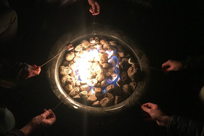 Chameleon Stargazing Shared Tour - The fire bowl and marshmallow finish