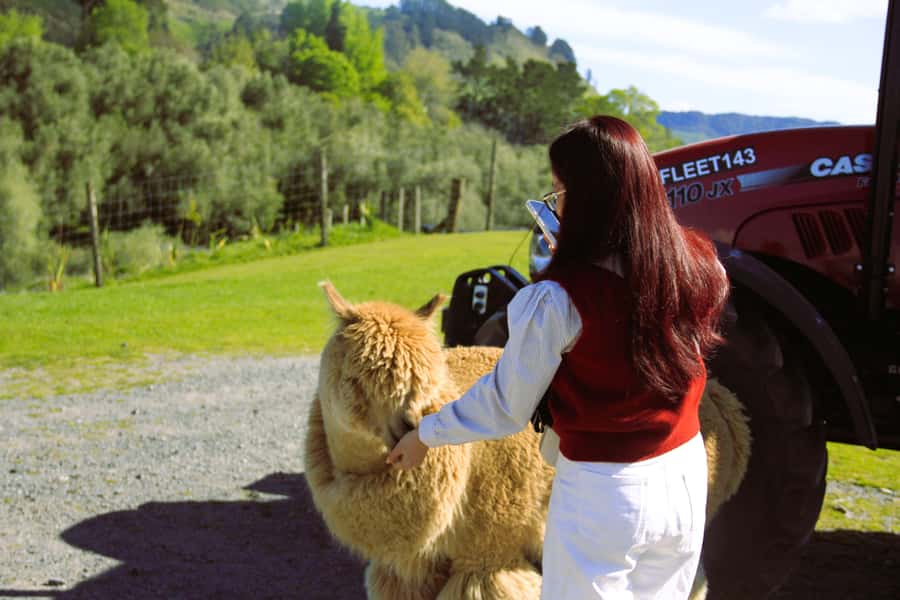 Christchurch: Lake Tekapo Stargazing & Mount Cook 2-Day Tour - Key points to know before you book