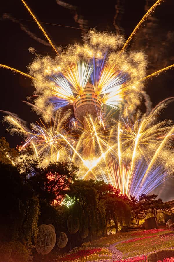 Daegu: E-World Theme Park & 83 Tower Observatory Ticket - Seasonal scenery and festivals at E-World