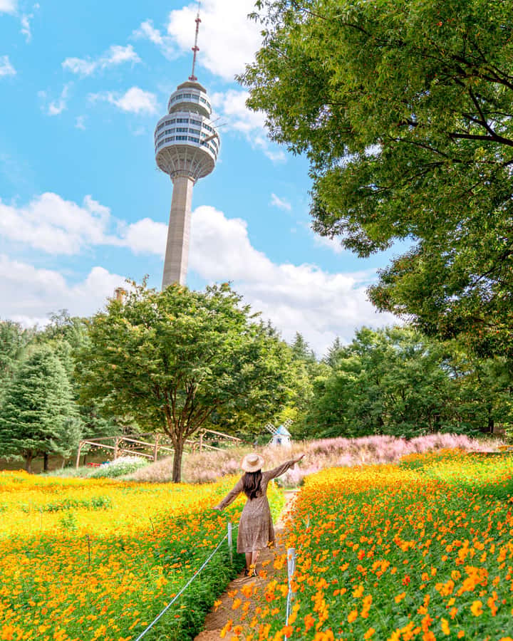 Daegu: E-World Theme Park & 83 Tower Observatory Ticket - Making sense of the $20 price