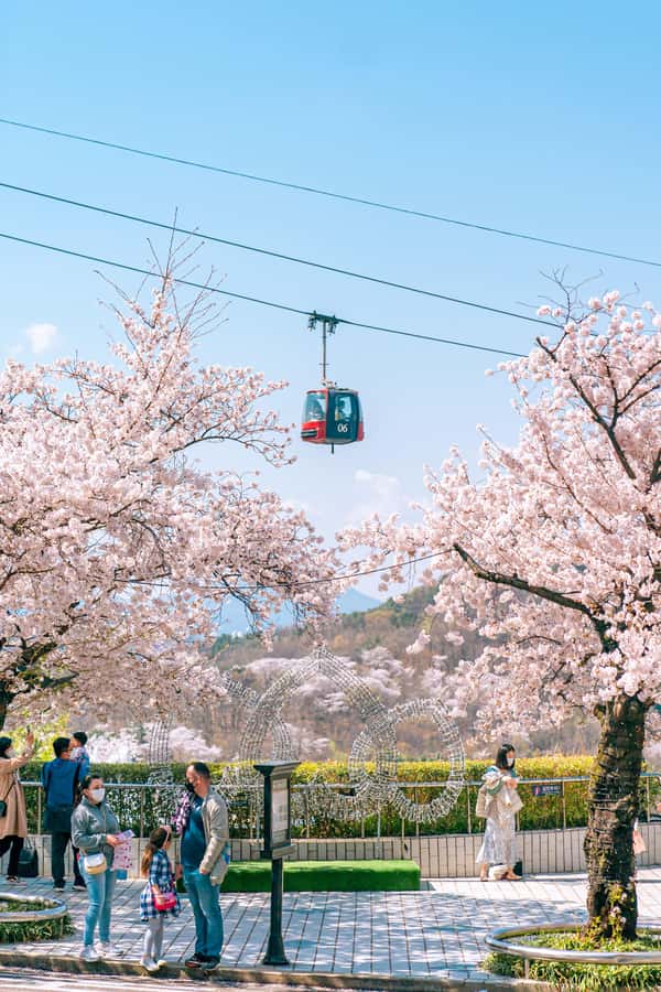 Daegu: E-World Theme Park & 83 Tower Observatory Ticket - Who should book E-World?