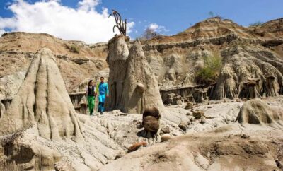 Day Trip to Tatacoa Desert (Horseback, Boat, Stargazing, ..)