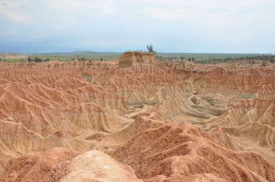 Day Trip to Tatacoa Desert (Horseback, Boat, Stargazing, ..) - Is $265 good value?