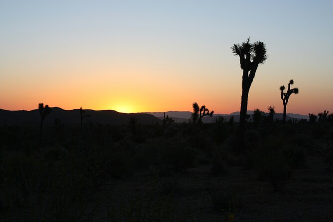 Death Valley Small Group Day Tour with Sunset and Stargazing - Leaving Las Vegas for Death Valley
