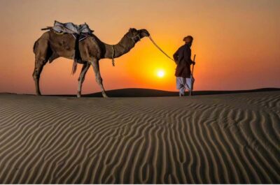 Night Desert Safari, Stargazing, and Camel Ride