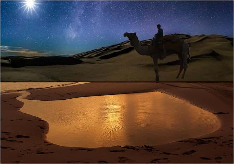 Doha: Night Desert Safari, Stargazing, and Camel Ride - A short camel ride adds a traditional touch