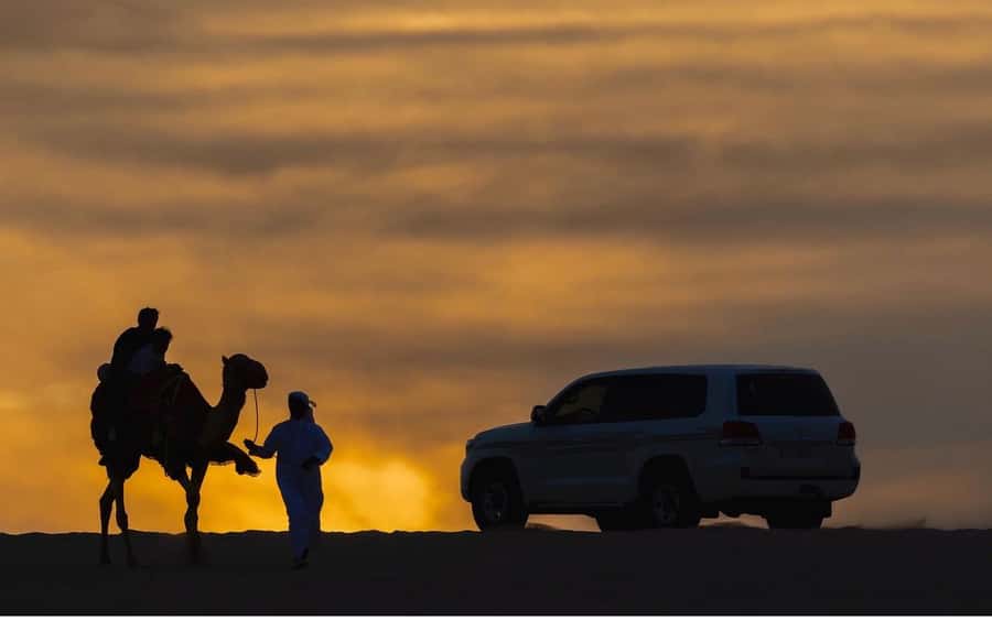 Doha: Night Desert Safari, Stargazing, and Camel Ride - Timing that works for a short Doha stay