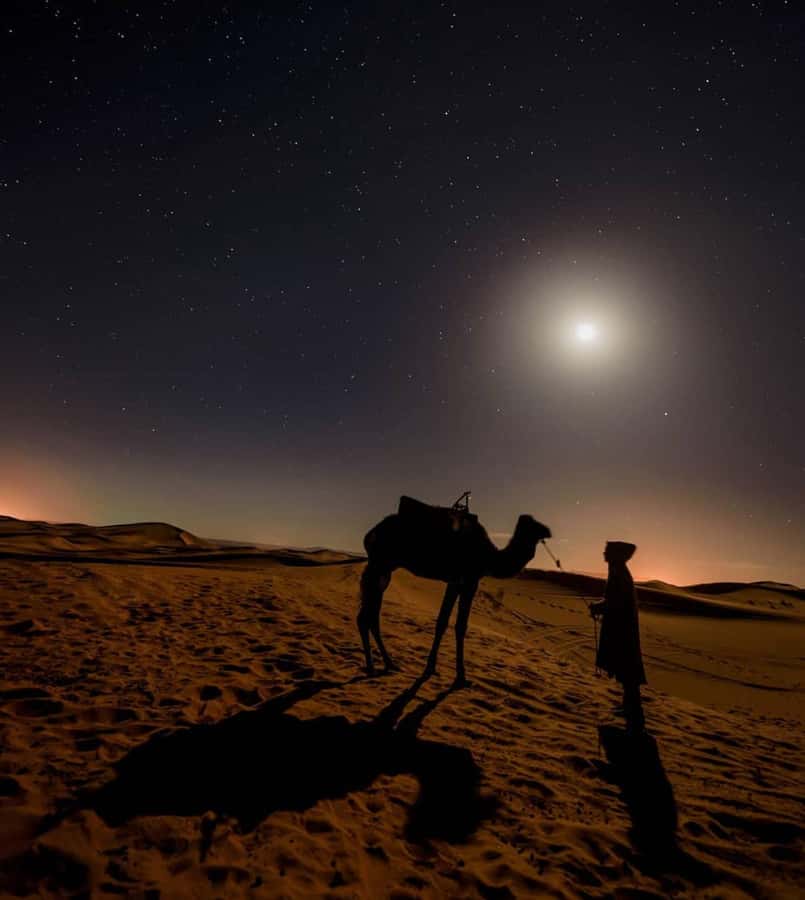 Doha: Night Desert Safari, Stargazing, and Camel Ride - Safety, comfort, and what to pack