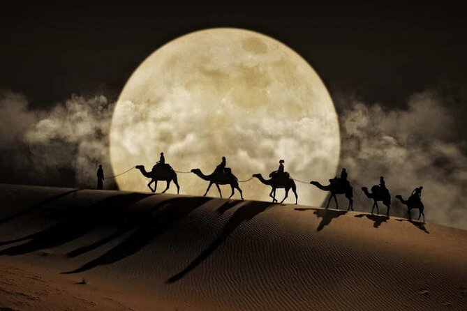 Doha Night Desert Safari Stargazing Dune Drive Camel Ride - Dune bashing across the sand