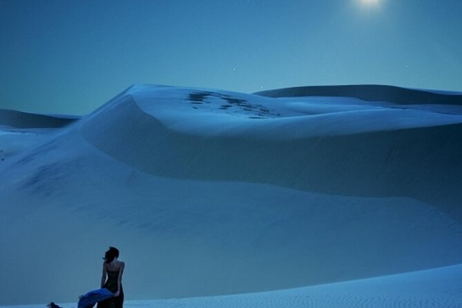 Doha Night Desert Safari Stargazing Dune Drive Camel Ride - A guide who keeps the day moving