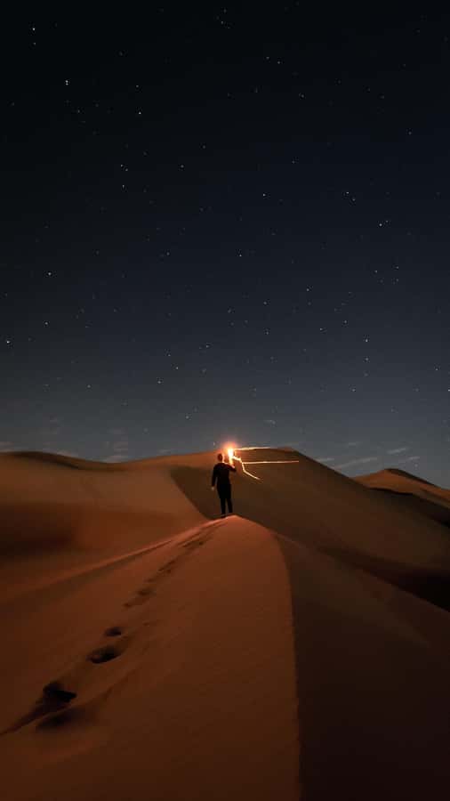 Doha: Night Desert Safari, Stargazing, Dune Driving &Inland - Why the night desert is worth your evening