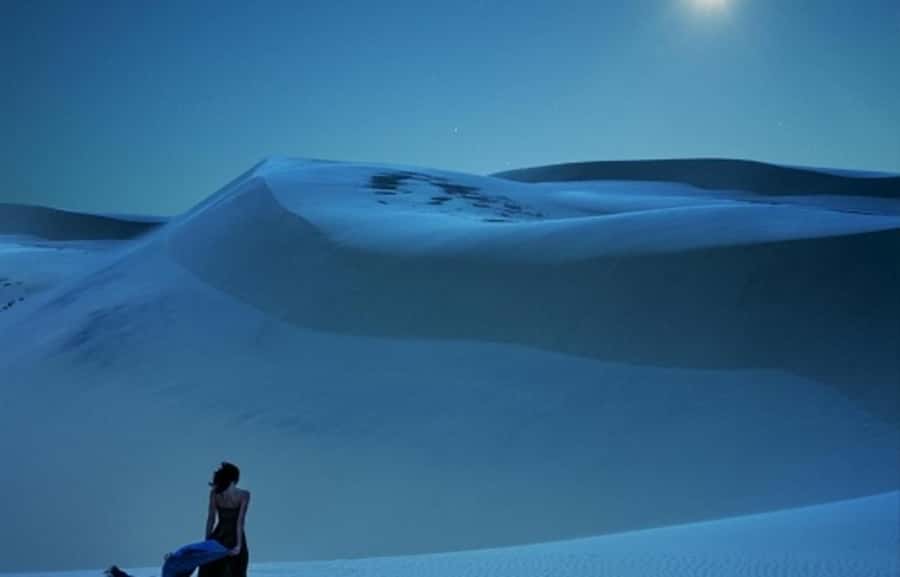 Doha: Night Desert Safari, Stargazing, Dune Driving &Inland - Who will enjoy this safari most