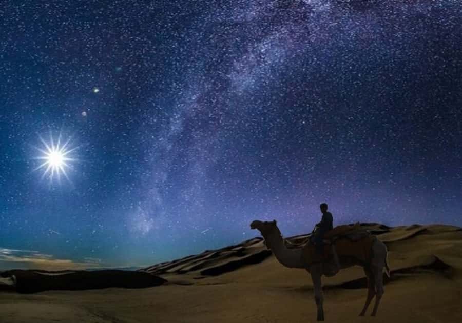 Doha: Night Desert Safari with Stargazing & Camel Ride - From Doha streets to open desert