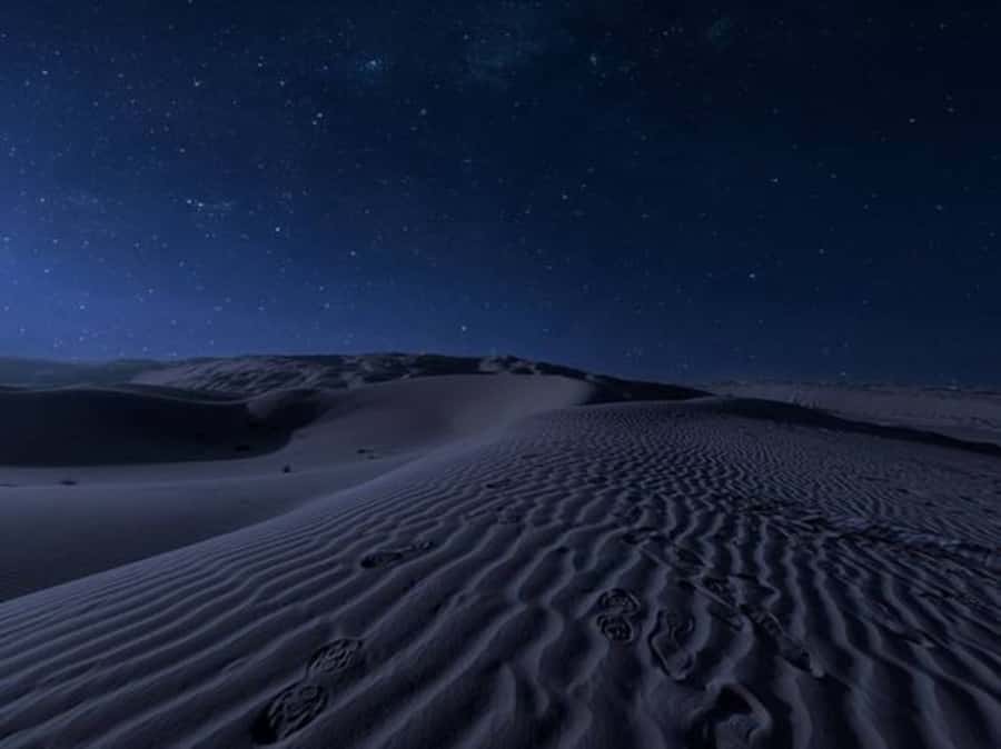 Doha: Night Desert Safari with Stargazing & Camel Ride - Dune bashing after sunset