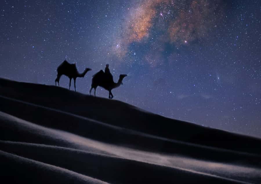 Doha: Night Desert Safari with Stargazing & Camel Ride - The guides make a practical difference