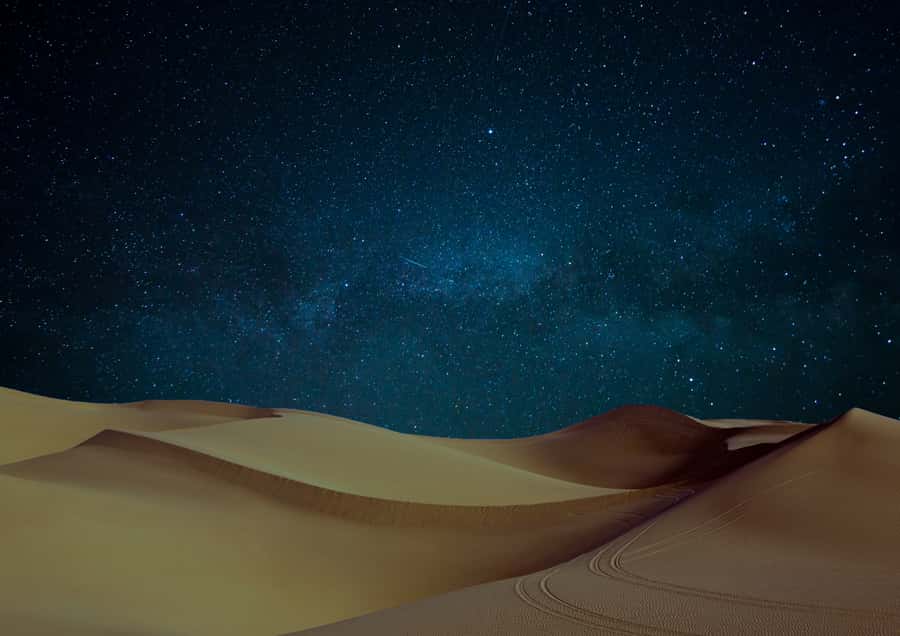 Doha: Night Desert Safari with Stargazing & Camel Ride - Should you book the Doha night safari?