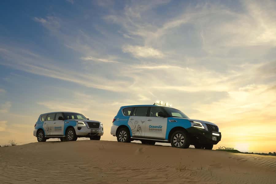 Dubai: Evening Desert Safari with Camel Ride & Stargazing - Walking after dark and looking for wildlife