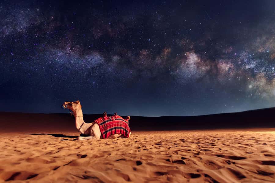 Dubai: Evening Desert Safari with Camel Ride & Stargazing - Practical details that improve the evening