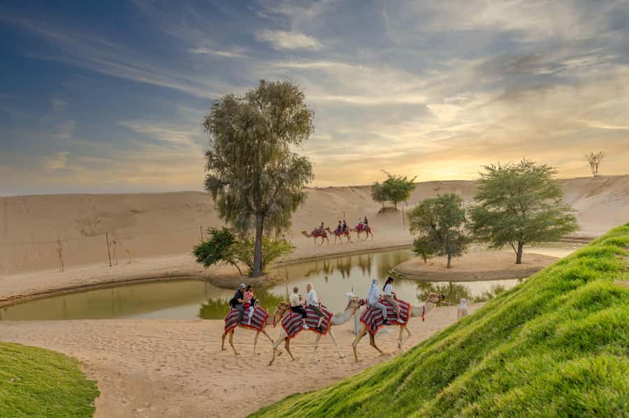 Dubai: Overnight Safari with Luxury Dome Stay & Stargazing - Key points before you book
