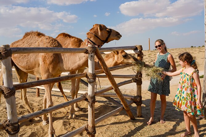 Dubai: Sunset Camel Trek, Al Khayma Camp, Stargazing & BBQ - Stargazing after the camp lights go off