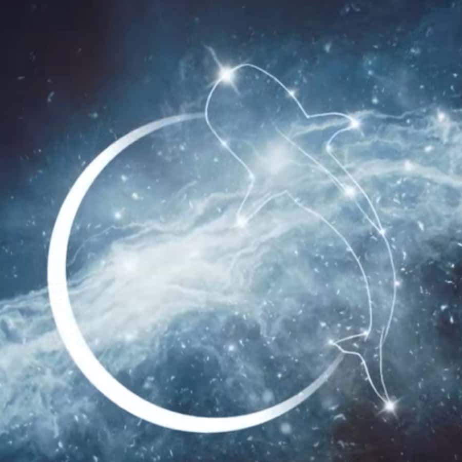 Esperance: Astronomy Night Experience - Starting under Esperance’s dark sky