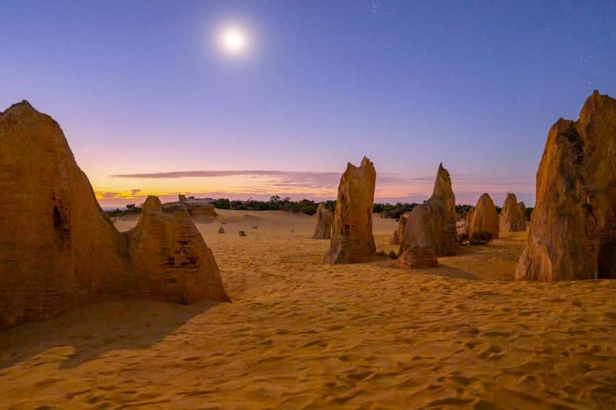 From Perth: Pinnacles Sunset and Stargazing Tour with Dinner - Dinner under the Nambung sky