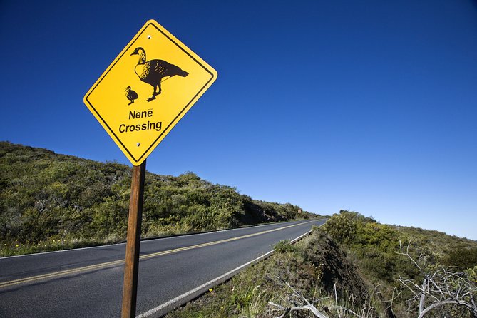 Haleakala Sunset and Stargazing Audio Tour - Leleiwi and Kalahaku: two views worth separating