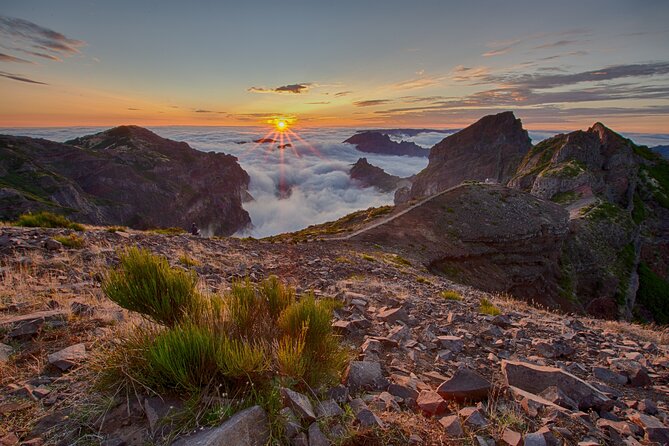 Heavens Tour: Sunset & Stargazing in Madeira - Who will enjoy this evening most?
