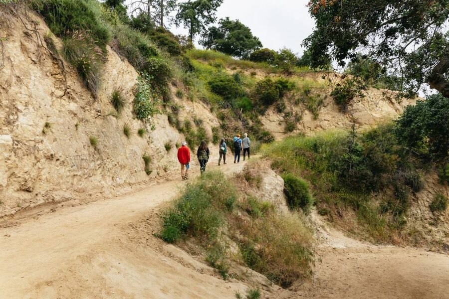 Hollywood Sign Hiking Tour to Griffith Observatory - Practical details that affect the day