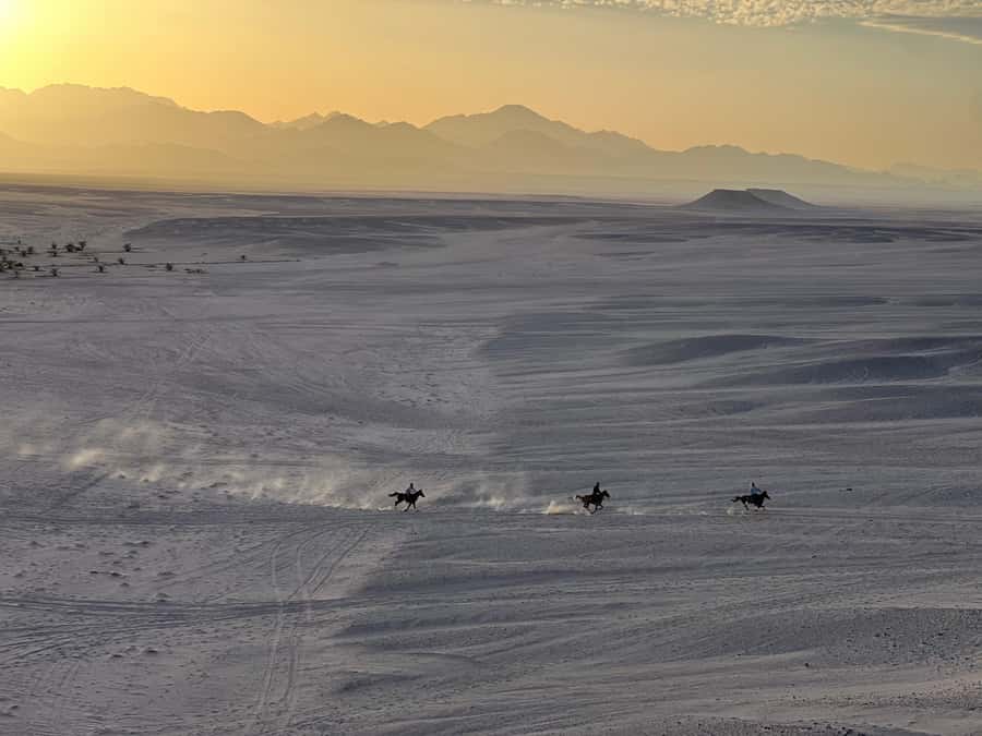 Hurghada: Horse Ride, BBQ Dinner, and Stargazing - Welcome Tea and a Clear Safety Briefing