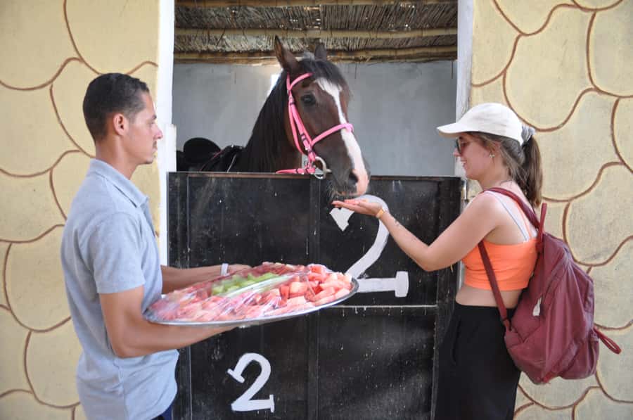 Hurghada: Horse Ride, BBQ Dinner, and Stargazing - Should You Book the Horse Ride and Stargazing Tour?