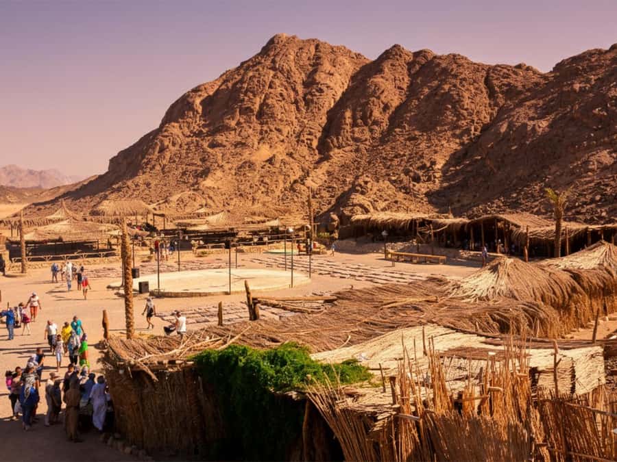 Hurghada: Sea & Desert Camel Ride w/Dinner, Show, Stargazing - Key points at a glance