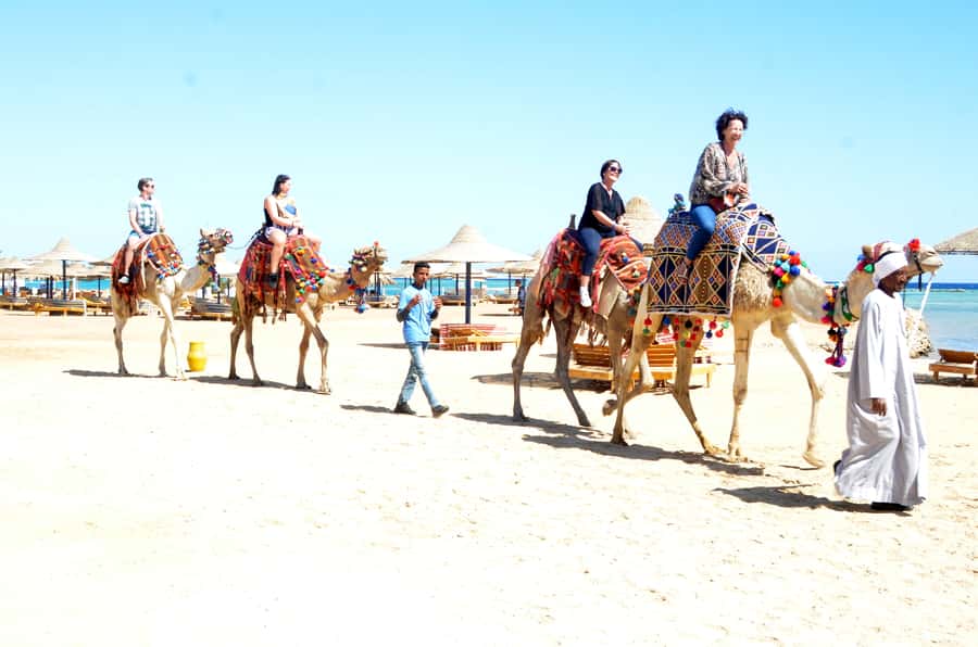 Hurghada: Sea & Desert Camel Ride w/Dinner, Show, Stargazing - FAQ