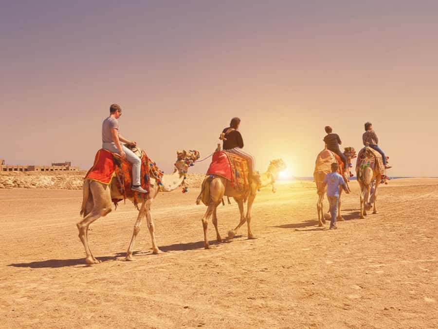 Hurghada: Sea & Desert Camel Ride w/Dinner, Show, Stargazing - Guides who make the ride easier