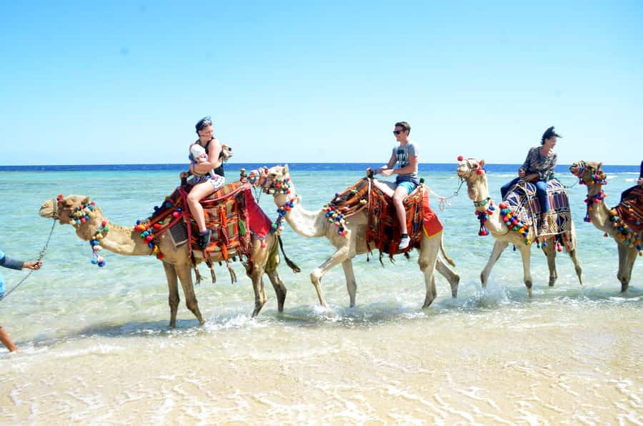 Hurghada: Sea & Desert Camel Ride w/Dinner, Show, Stargazing - Sunset dinner, dancing, and stargazing