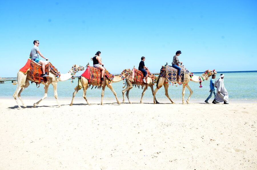 Hurghada: Sea & Desert Camel Ride w/Dinner, Show, Stargazing - Families, comfort, and physical limits